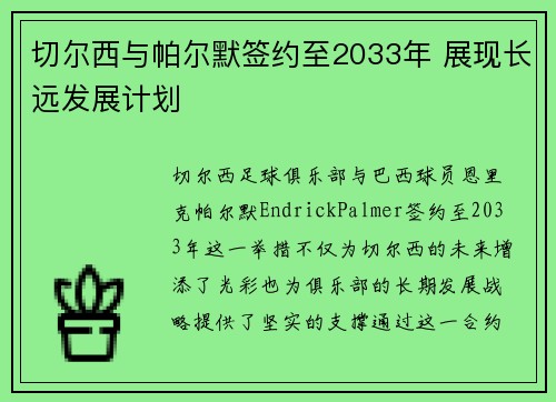切尔西与帕尔默签约至2033年 展现长远发展计划