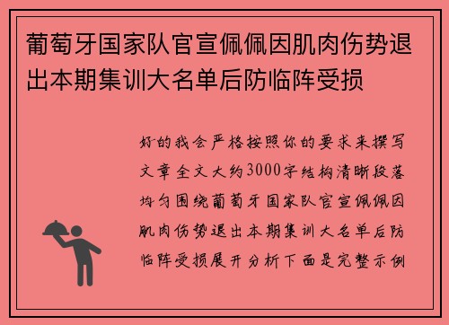 葡萄牙国家队官宣佩佩因肌肉伤势退出本期集训大名单后防临阵受损